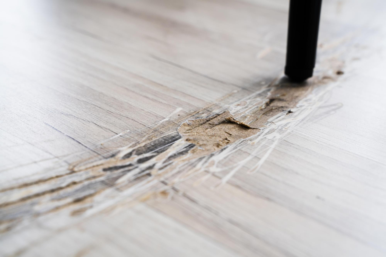 How to Prevent Floor Damage | Expert Tips 