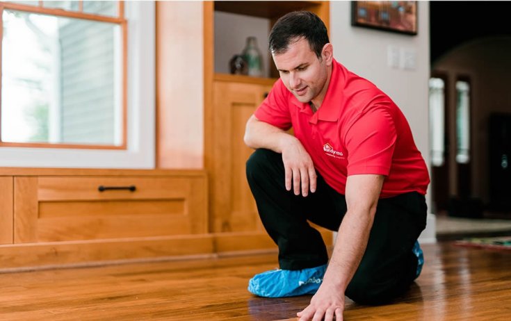 Laminate vs Vinyl Floor Repair Differences
