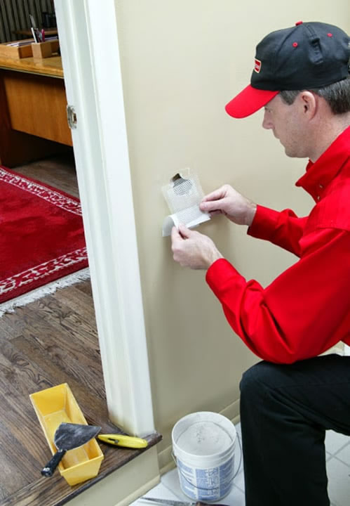 Drywall Repair